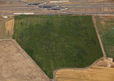 corn maze 2012