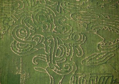 corn maze 20125