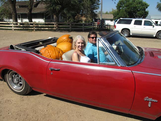 u-pickem patch couple in convertable